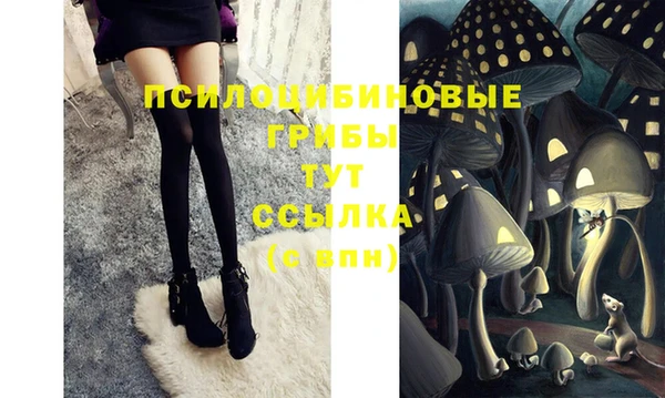 кокс Баксан
